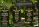 kingsofthejungle_bside.jpg